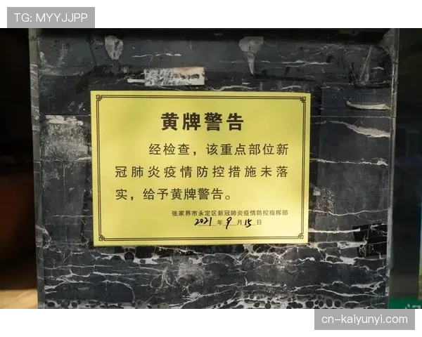 黄牌警告的判定标准：哪些行为会直接招致裁判出示黄牌？